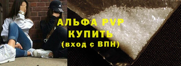 сатива Аркадак
