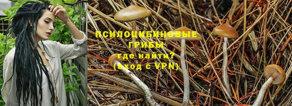спиды Армянск