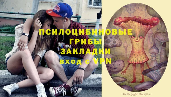 круглые Арсеньев